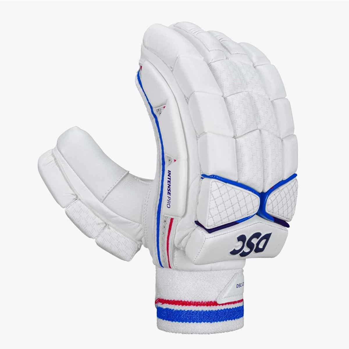 DSC Intense Pro Batting Gloves - Premium Cricket Equipment