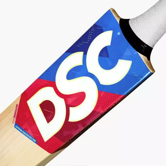DSC INTENSE SHOC GRADE 2 ENGLISH WILLOW BAT SH - Premium Cricket Equipment